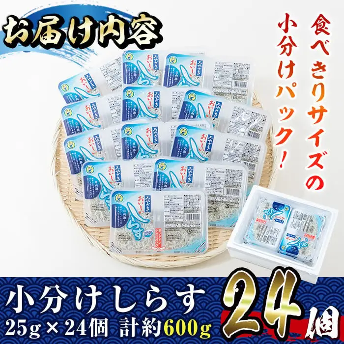 小分けしらすツインパック12個セット(計約600g・25g×2パック×12個)魚  冷凍  海鮮 【E-22】【株式会社 水永水産】