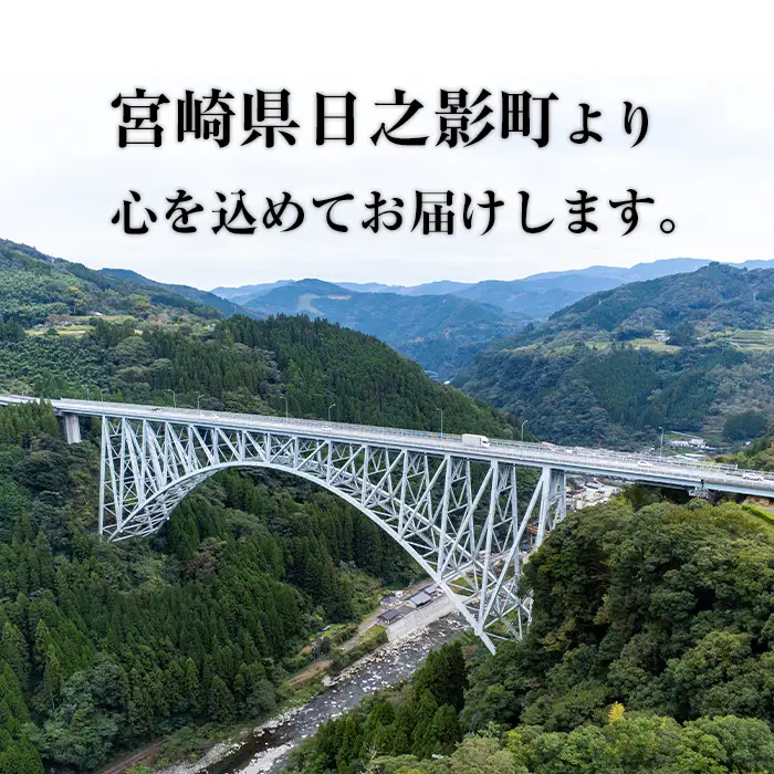 ＜令和7年産＞＜定期便(連続3回)＞宮崎県産 神々の里 高千穂郷ひのひかり(5kg×2袋×3回)【NK009】【宮崎県農業協同組合　高千穂地区本部】