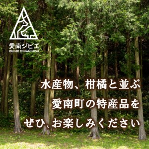 ジビエ 肉 鹿 モモ 500g ロース 500g セット ジビエ ジビエ ジビエ ジビエ ジビエ ジビエ  愛媛県 愛南町