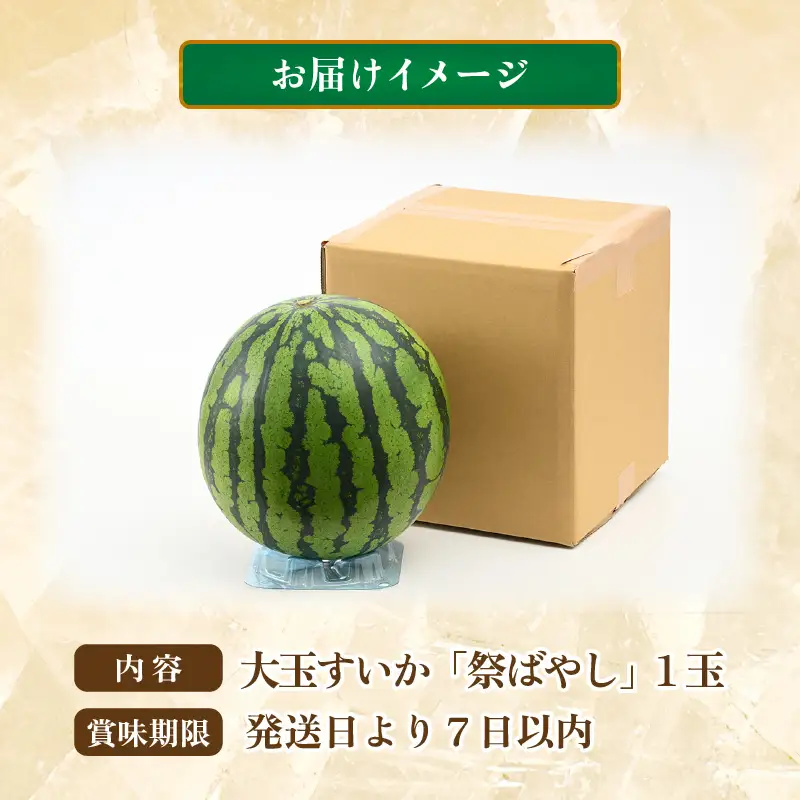 【先行予約】大玉すいか『祭ばやし』 1玉（約7kg以上）スイカが持つ食味を最大限まで極めた大きめ品種！ ／ 果物 フルーツ 西瓜 スイカ ギフト 農家直送 ※2027年6月上旬以降発送  [aw065-a015]
