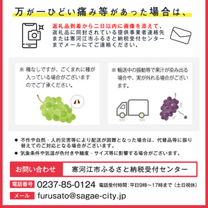 令和8年産 先行予約 ＜厳選＞シャインマスカット 600g 以上（1房）山形県産【2026年9月上旬頃～10月上旬頃発送予定】※配送不可 沖縄・離島　010-B-AF009