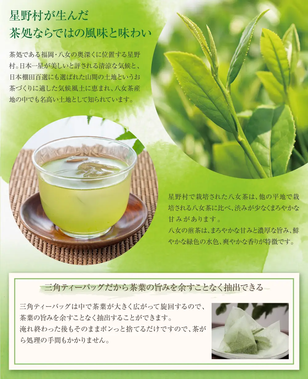 Z26-04 八女茶 煎茶ティーバッグ3g 200個入 （100個×2袋） 煎茶