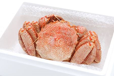 毛がに毛がに800g～1kg×1尾 B-48016