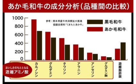 熊本県産 あか牛 スライス 合計1kg(500g×2パック) 和牛 牛肉