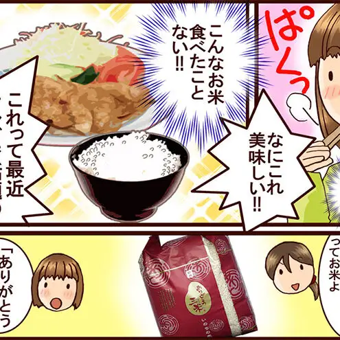 【先行予約 いのちの壱】【令和8年産】【定期便】2kg×12回 新潟産 いのちの壱 コンテスト受賞者の米 新潟県 田上町