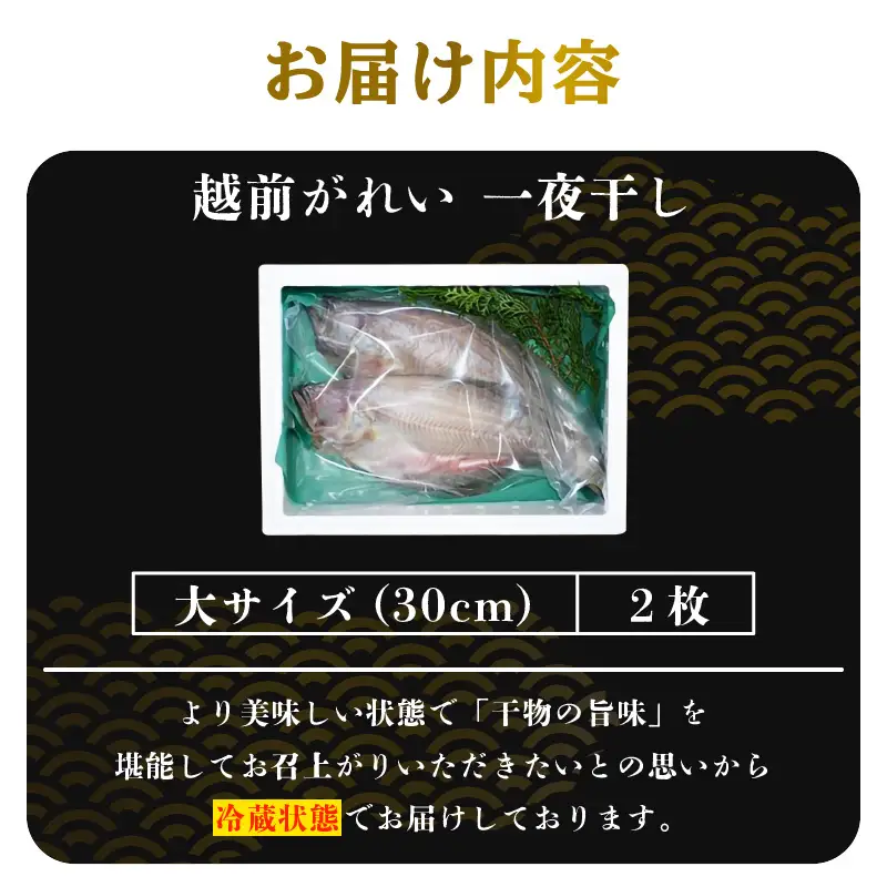 【冷蔵】添加物不使用 越前 赤かれい干物 2枚 大サイズ 2026年11月中旬より発送 「天日干し」旨み濃縮 [e23-a001]