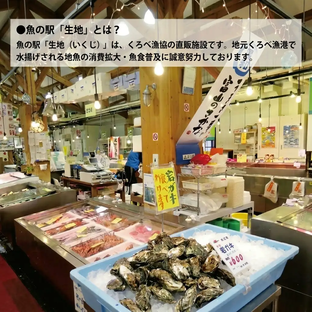 地魚昆布〆セット 産地直送 富山湾産 地魚昆布〆セット【4種×12回】【定期便】