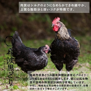 地鶏 丹波黒どり  濃厚 水炊きセット 3～4人前＜京都亀岡丹波山本＞《訳あり特別返礼品 水炊き 鍋 パーティー 鶏肉 国産鶏 国産鶏肉 京都府産鶏肉 京都産鶏肉 地鶏鶏肉 鶏肉地鶏 鶏肉大容量 大容量鶏肉 たっぷり鶏肉 鶏肉》