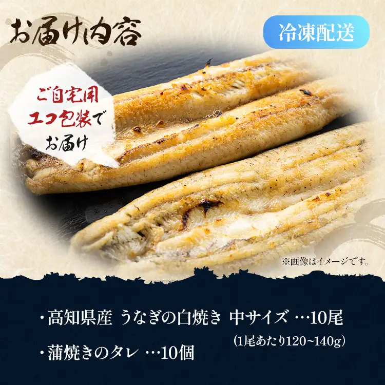 高知県産うなぎ 白焼き 120～140ｇ 10尾 白焼き yw-0048