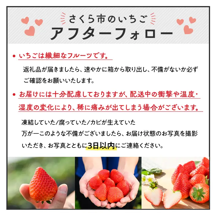 いちご とちあいか・スカイベリー食べ比べセット（290g×4パック）※2027年1月～発送