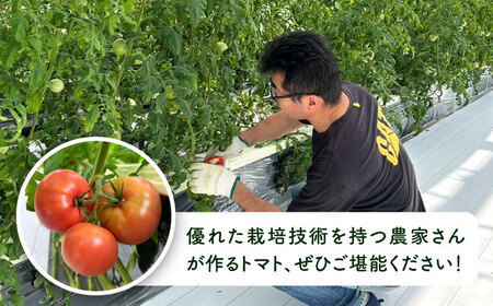 【先行受付】糸島産 絶品 トマト かれん ( 4kg 28玉 前後 ) 【2026年11月上旬以降順次発送】 糸島市 / シーブ [AHC019] 大玉トマト 野菜