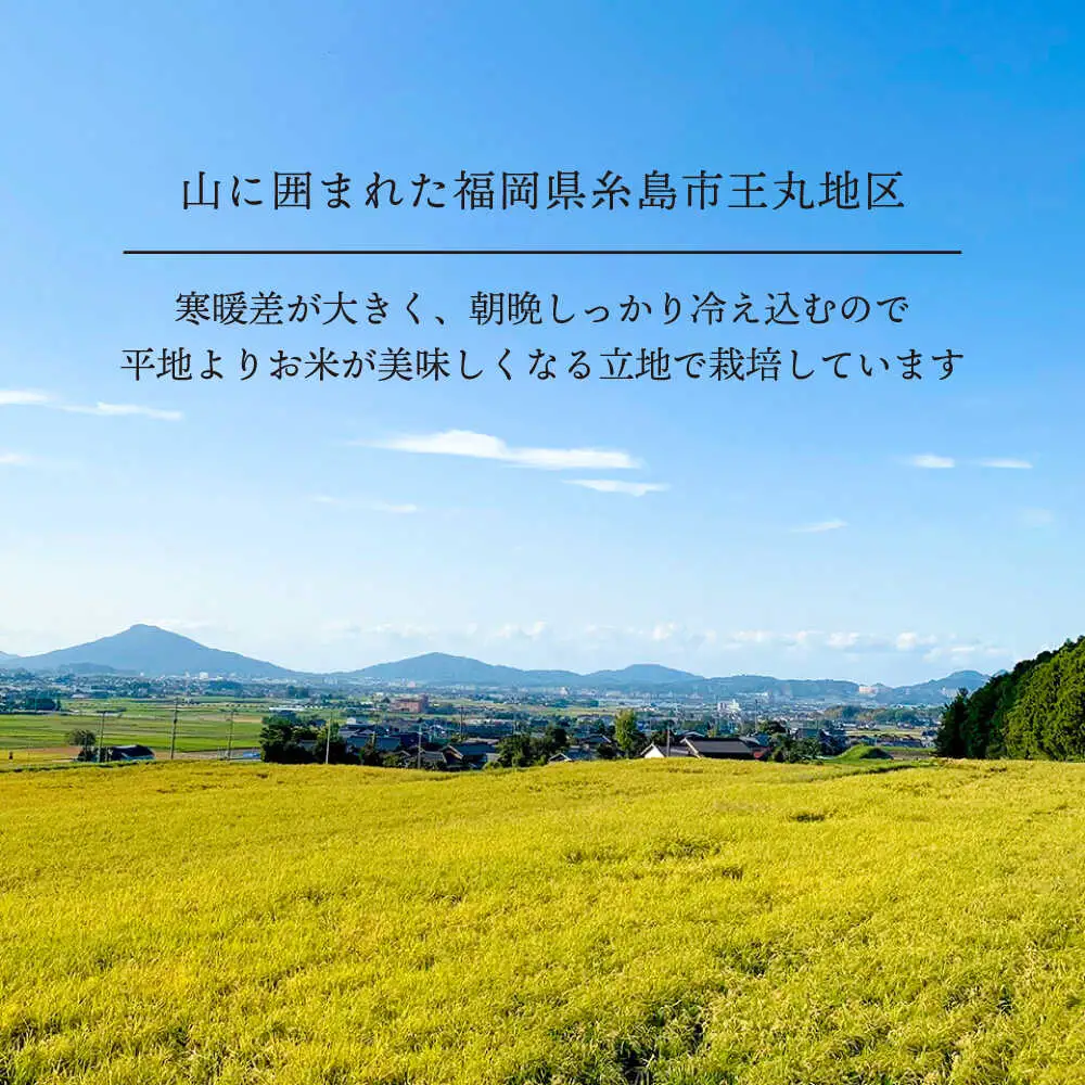 糸島産 夢つくし 5kg　糸島市 / 糸島王丸農園 ( 谷口汰一 )【いとしまごころ】[AAZ001]