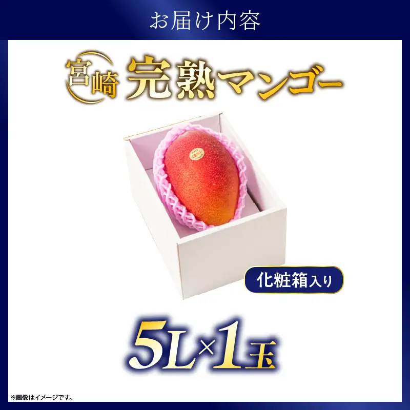 先行予約 完熟マンゴー 5L×1玉（化粧箱）マンゴー 宮崎 果物 フルーツ くだもの 2027年 国産 高級 マンゴージュース 南国フルーツ おすすめ デザート ギフト 贈り物 プレゼント 贈答 冷蔵 綾町 送料無料 【JA綾町】_A0114-2333