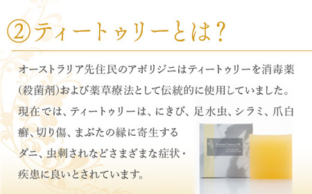 美容 洗顔石鹸 プレミアムトーンアップDR 100g