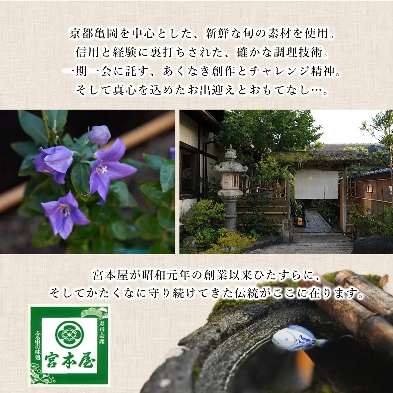 鱧しゃぶセット 特上松茸入り 4～5人前（特製スープ・野菜付）ハモ はも 松茸 特上松茸