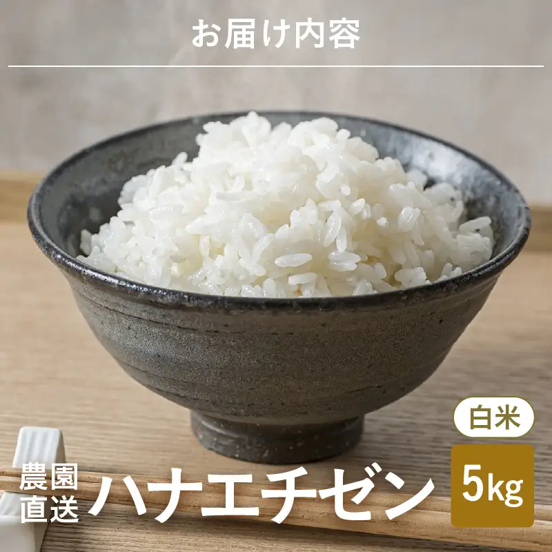 【先行予約】【令和8年産・新米】 ハナエチゼン5kg × 1袋 ～本原農園からまごころコメて～（白米）【2026年9月上旬以降順次発送予定】  [A-8984_01]
