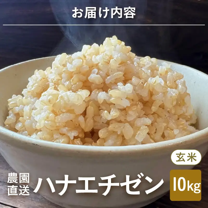 【先行予約】【令和8年産・新米】 ハナエチゼン10kg(5kg×2袋) ～本原農園からまごころコメて～（玄米）【2026年9月上旬以降順次発送予定】 [B-8946_02]