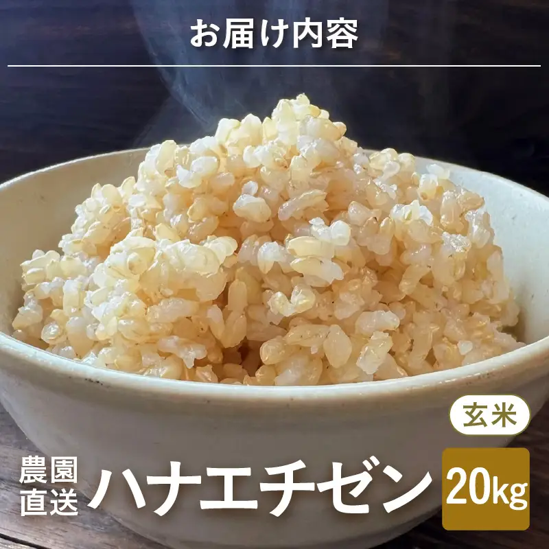 【先行予約】【令和8年産・新米】 ハナエチゼン20kg(5kg×4袋) ～本原農園からまごころコメて～（玄米）【2026年9月上旬以降発送予定】 [D-8917_02]