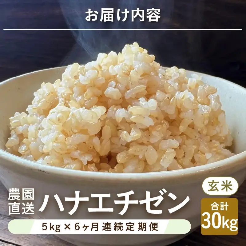 【先行予約】【令和8年産・新米】定期便 ≪6ヶ月連続お届け≫ ハナエチゼン5kg×6回 計30kg ～本原農園からまごころコメて～（玄米）【2026年9月上旬以降順次発送予定】 [F-8910_02]