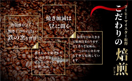 コーヒー豆 ピーベリーおまかせ3種で300g ピーベリーコーヒー豆 OHAKO [HL015]