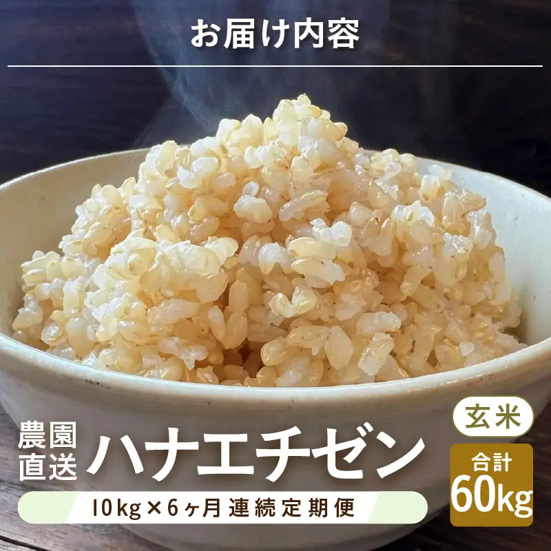 【先行予約】【令和8年産・新米】定期便 ≪6ヶ月連続お届け≫ ハナエチゼン10kg×6回 計60kg ～本原農園からまごころコメて～（玄米）【2026年9月上旬以降順次発送予定】 [K-8910_02]
