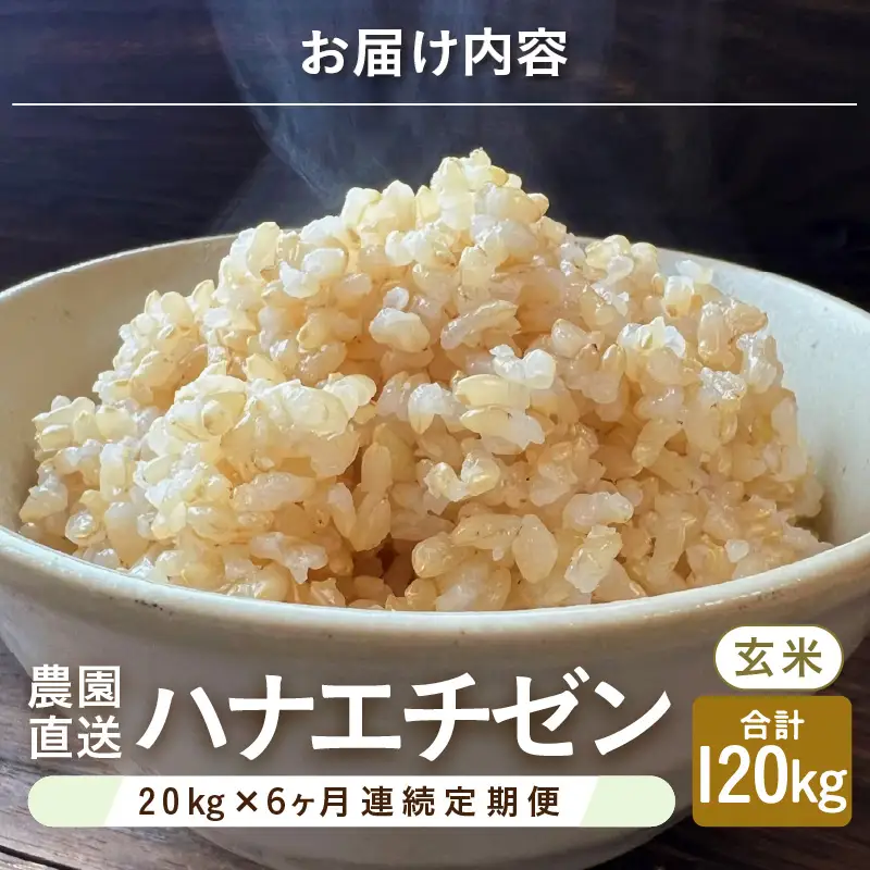 【先行予約】【令和8年産・新米】定期便 ≪6ヶ月連続お届け≫ ハナエチゼン20kg×6回 計120kg （玄米）【2026年9月上旬以降順次発送予定】 [O-8910_02]