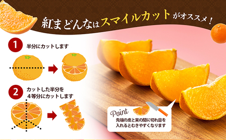 紅まどんな 柑橘 愛媛県産 紅まどんな【赤秀3L〜L 10〜15玉】