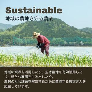 【8回定期便】丹波産の旬野菜セット 有機 野菜