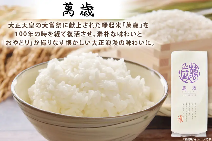 レトルト カレー 国産 骨付きモモ 1本 六ツ美のあの肉カレー 中辛 4個 萬歳 1袋 大正浪漫 セット
