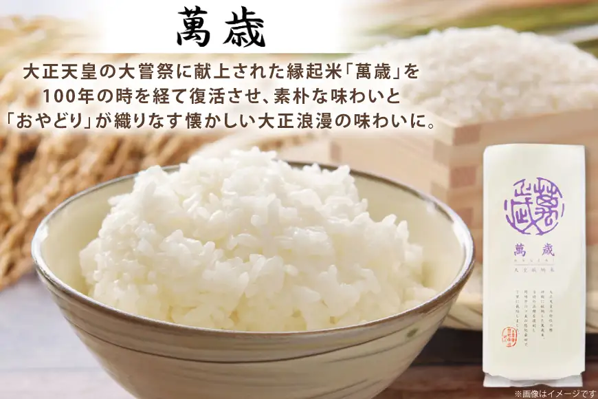 レトルト カレー 国産 骨付きモモ 1本 六ツ美のあの肉カレー 辛口 4個 萬歳 1袋 大正浪漫 セット