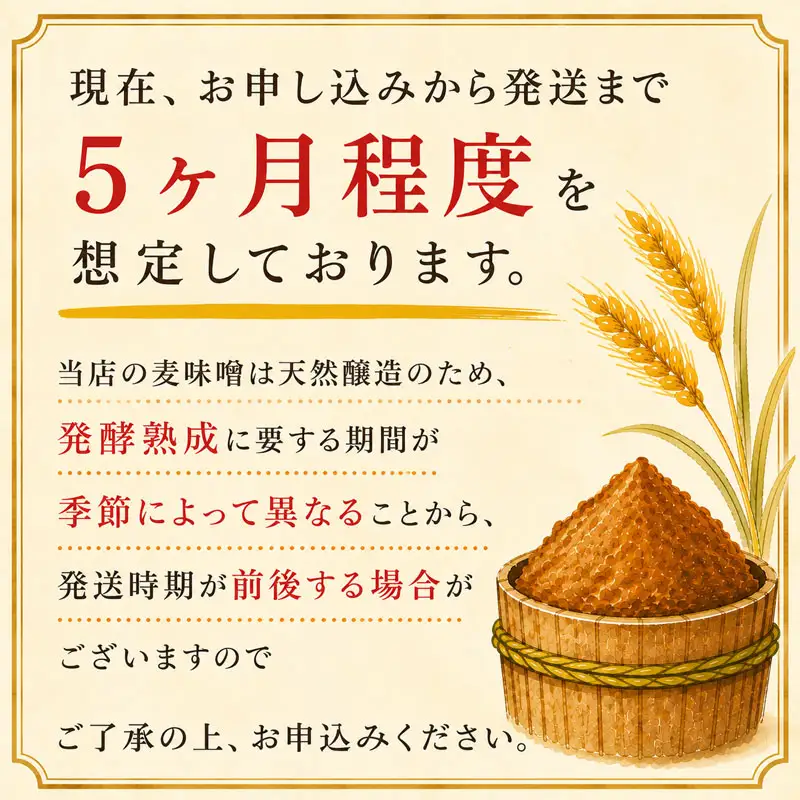 【マツコの知らない世界で紹介！】 みそ 麦みそ 4kg 井伊商店 J010-108001