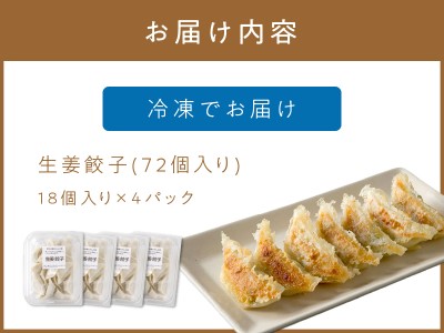 生姜餃子4パック(72個入り)【008-0002】ぎょうざ ギョウザ 餃子 羽根つき 冷凍 パック 送料無料