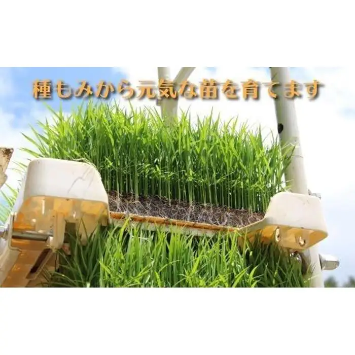 【令和8年産新米】【６ヶ月定期便】南魚沼産コシヒカリ　特別栽培米　八富米　　無洗米５ｋｇ×全6回【2026年10月中旬から1ヶ月以内に順次発送予定】