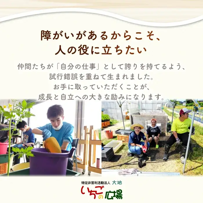 くつろぎcafeいちご　焼菓子詰め合わせセット