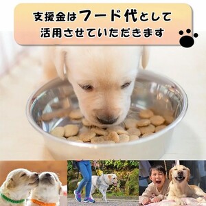 【返礼品相当額で盲導犬の育成を支援】支援額4,500円（記念品あり）盲導犬