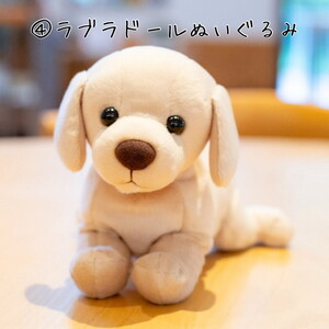 【返礼品相当額で盲導犬の育成を支援】支援額6,000円（記念品あり）盲導犬