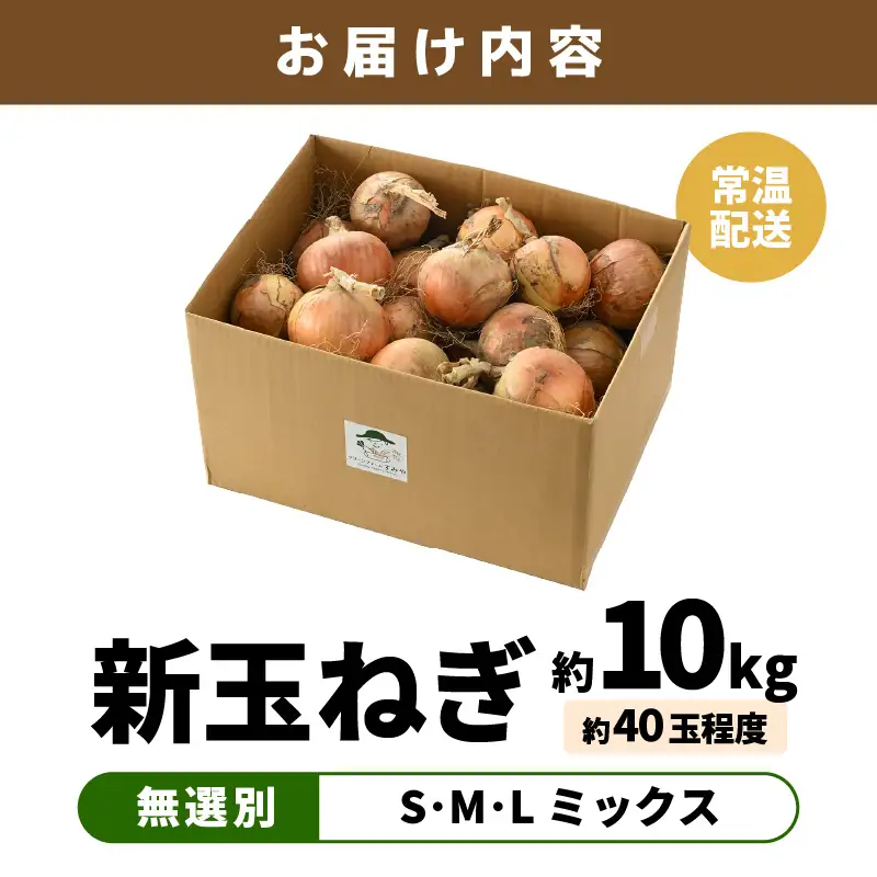 【先行予約】採れたて 新玉ねぎ 10kg（サイズ S M L ミックス）田んぼで育てた甘くて柔らか自慢の玉ねぎ！／ 常備 野菜 玉葱 たまねぎ ※2027年6月以降順次発送予定 [aw056-a020]