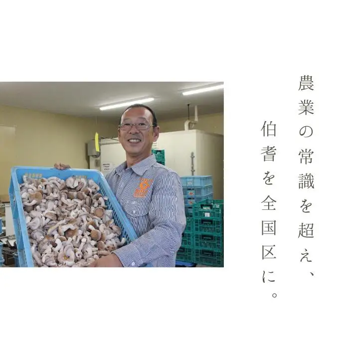 森くらげコスメセット【美容 化粧品 化粧水 クレンジング 洗顔 石鹸 石けん クリーム スキンケア セット 肌ケア 乾燥肌 敏感肌 保湿 潤い うるおい 美肌 ハリ エイジングケア きのこ きくらげ キクラゲ 森くらげ 鳥取県 日吉津村】