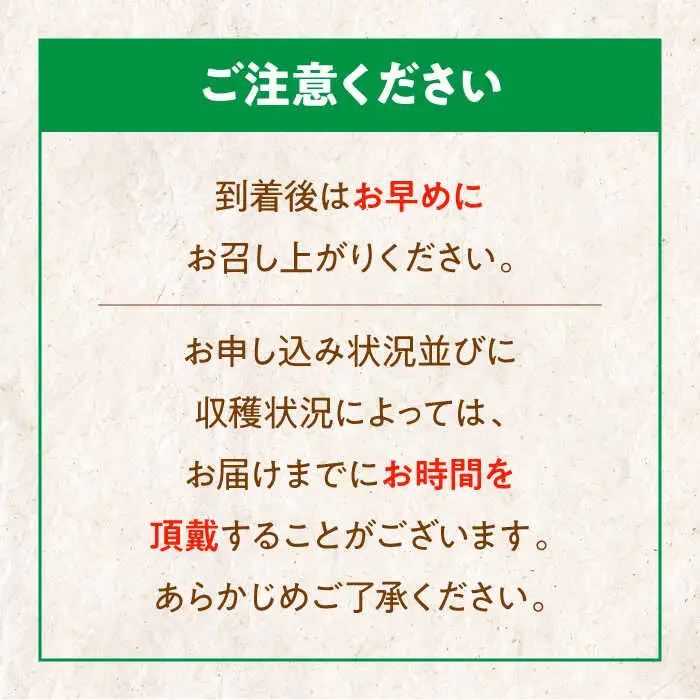 【冷凍】むき栗 800g 栗【10月上旬から順次発送】[AGBN038]