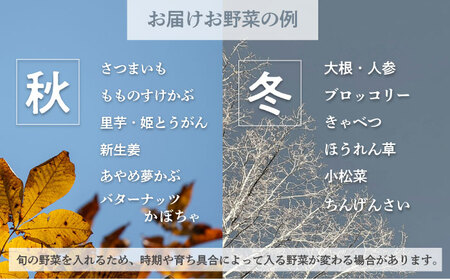 横須賀産野菜セット 10種 詰め合わせ【横須賀商工会議所 おもてなしギフト事務局（三浦半島直売所）】 [AKES003]