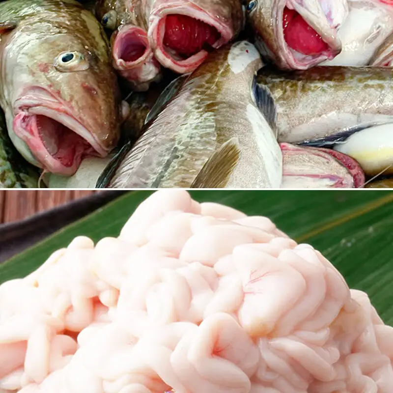 《先行受付》真鱈 【オス】 3kg 天然 漁師直送（配送期間 11月上旬～2月下旬）マダラ タラ 高級魚 たら まだら 魚