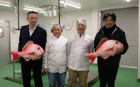 生姜真鯛 干物 3枚セット 干物