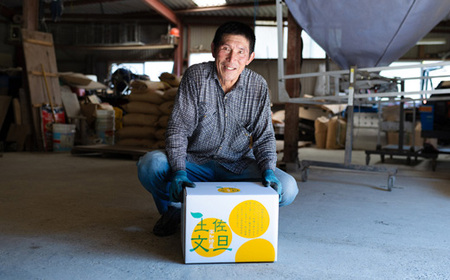 土佐文旦 10kg 家庭用（大玉） 文旦