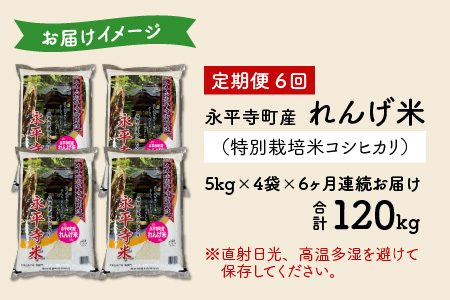 【6ヶ月連続お届け】農薬不使用・化学肥料不使用 永平寺町産 れんげ米 20kg×6ヶ月（計120kg）[L-002019]