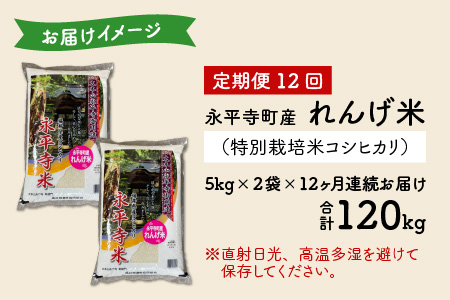 【12ヶ月連続お届け】農薬不使用・化学肥料不使用 永平寺町産 れんげ米 10kg×12ヶ月（計120kg）[L-002021]