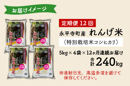 【12ヶ月連続お届け】農薬不使用・化学肥料不使用 永平寺町産 れんげ米 20kg×12ヶ月（計240kg）[N-002023]
