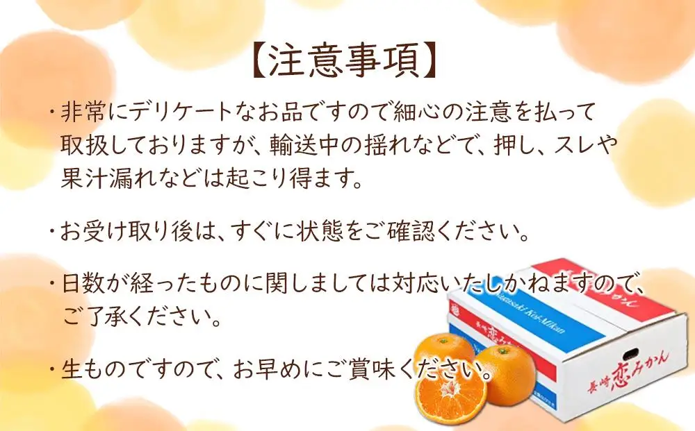 長崎恋みかん 5kg＜期間限定／先行予約＞【2026年11月中旬以降順次発送】｜みかん