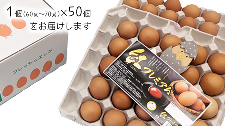 紅プレミアム 卵 50個 （ 40個 入り ＋ 割れ保障 10個 ）