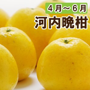 定期便 4回 4ヶ月 愛媛 みかん ポンカン 不知火 しらぬい ネーブルオレンジ なつみ ブラッドオレンジ 河内晩柑 愛南 ゴールド 柑橘 かんきつ フルーツ 果物 くだもの 数量 季節 限定 旬 セット 詰め合わせ 国産