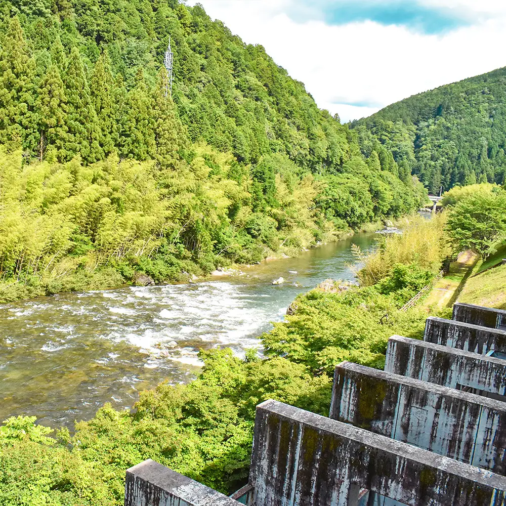 下呂温泉【道の駅 飛騨金山ぬく森の里温泉】宿泊補助券（6,000円分）【a019-2】